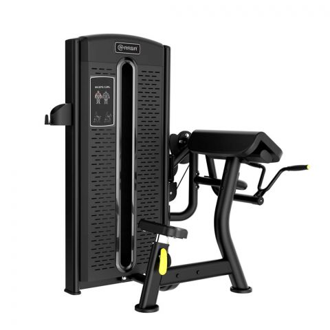 Biceps Curl, ARBA GS-5006
