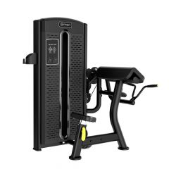 Biceps Curl, ARBA GS-5006