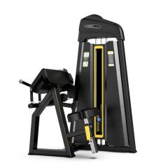 Biceps & Triceps Machine, 2 in 1, ARBA HSL-1083