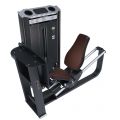 Leg Press, ARBA ESL-7003